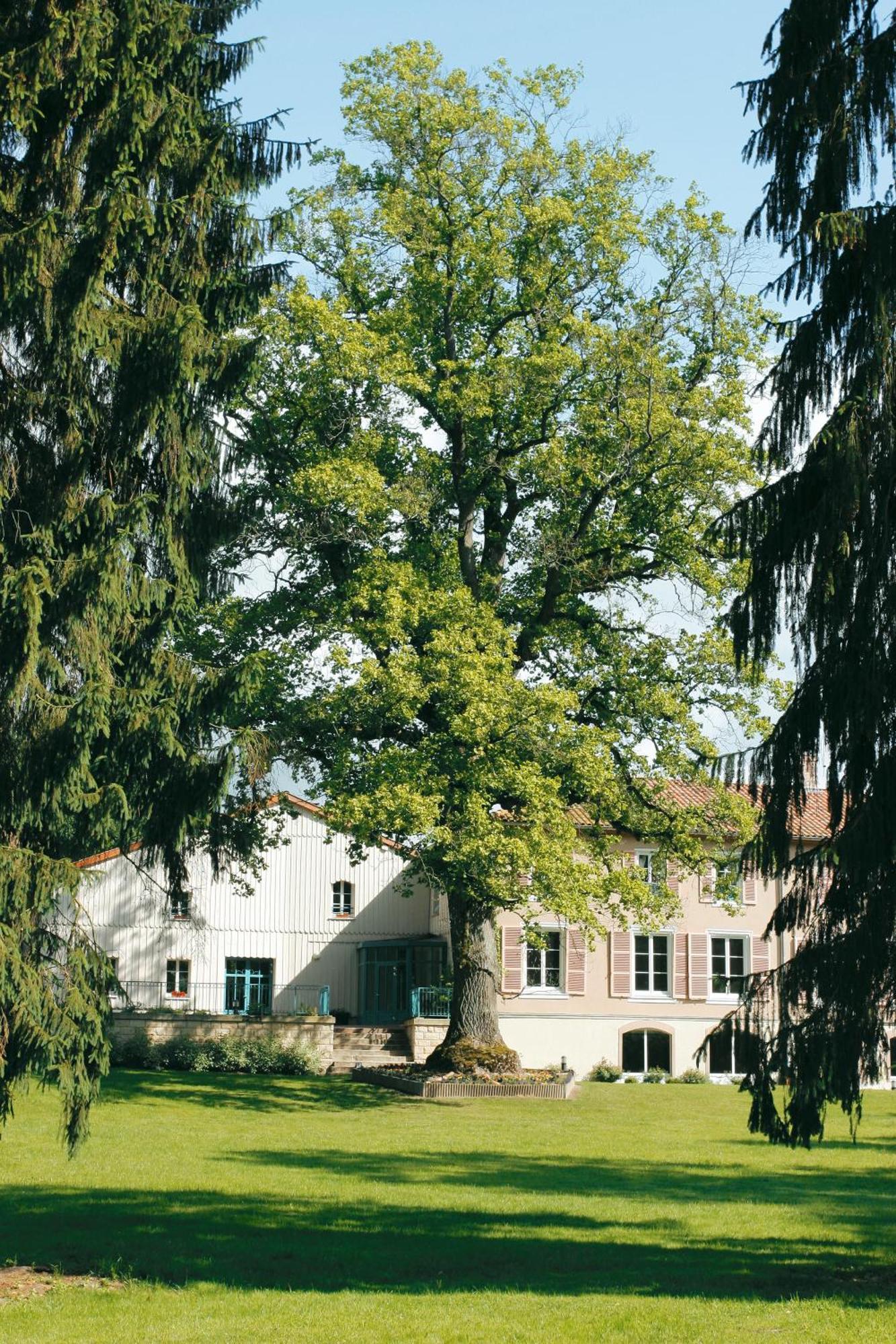 Logis Hotel - Restaurant Le Tulipier Vienne-le-Château Szoba fotó