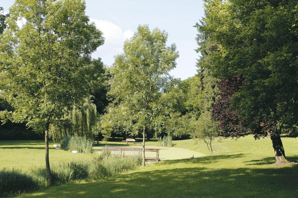 Logis Hotel - Restaurant Le Tulipier Vienne-le-Château Szoba fotó